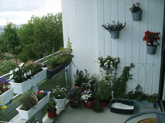 Afd. 4: beboerne inviteres til at pynte altaner og terrasser med ... Blomster til terrassen