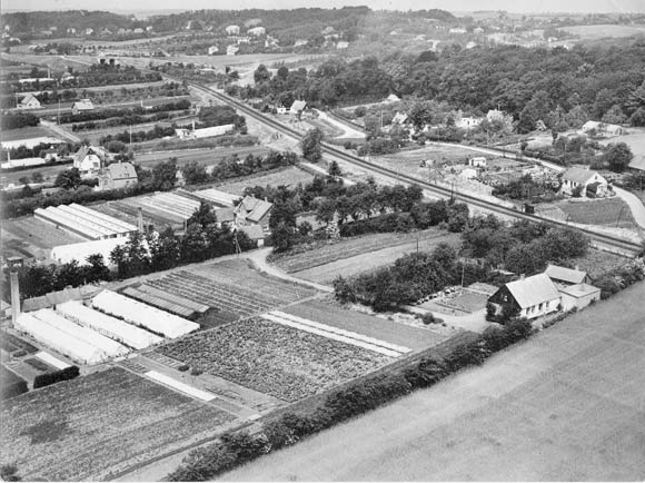 Brabrand Oversigt ca. 1952 Brabrand Oversigt ca. 1952