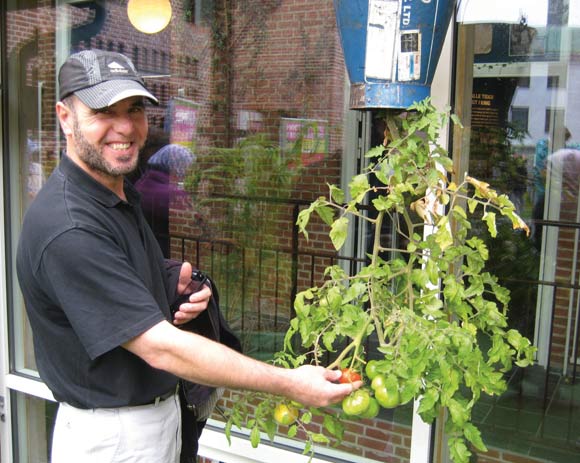 Jamal fra Grønærten vil meget gerne have tomaterne med hjem Jamal fra Grønærten vil meget gerne have tomaterne med hjem
