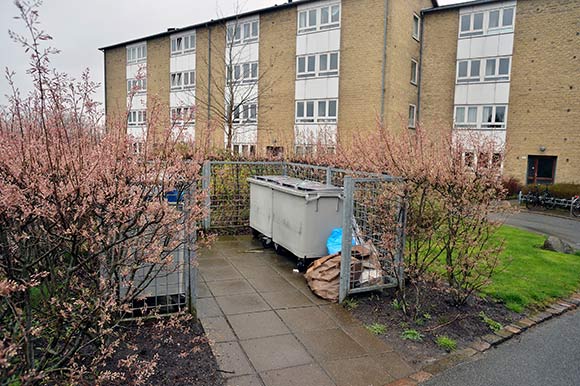 Smukke containergårde med blomstrende buske rundt om er med til at give et indtryk af en afdeling, hvor beboerne passer på deres område og sørger for, at der er pænt og rent.