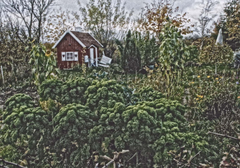holmstrup-haver-1
