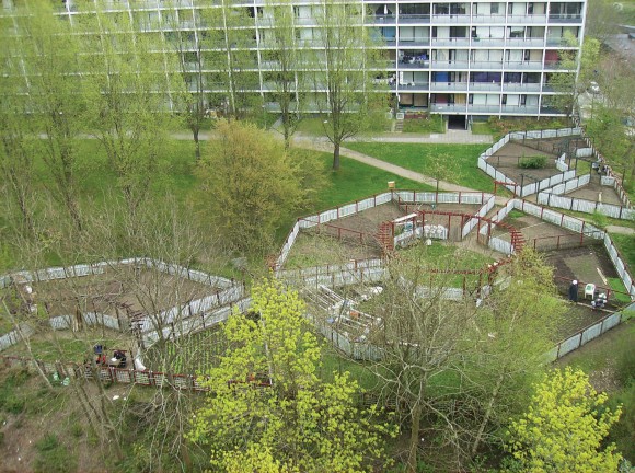 Haveforeningen Grønærtens haver på Gudrunsvej, hvor alt allerede spirer og gror lystigt sidst i april. Foto af Helle Hansen