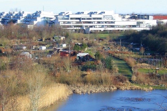 urh-holmstrup-haver