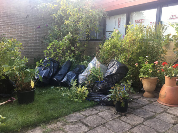 Mange poser blev fyldt med bærbuske og blomster.