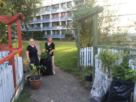 I Gellerup er Grønærtens havelejere glade for de mange planter, som Jette Hyttel snart kan kigge ned på fra sin altan i genhusningslejligheden på Gudrunsvej.
