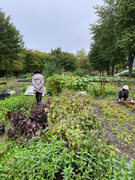 Naturklub i Gellerup, Oliven Spejderne og Brabrand Billedskole laver alle udendørsaktiviteter.