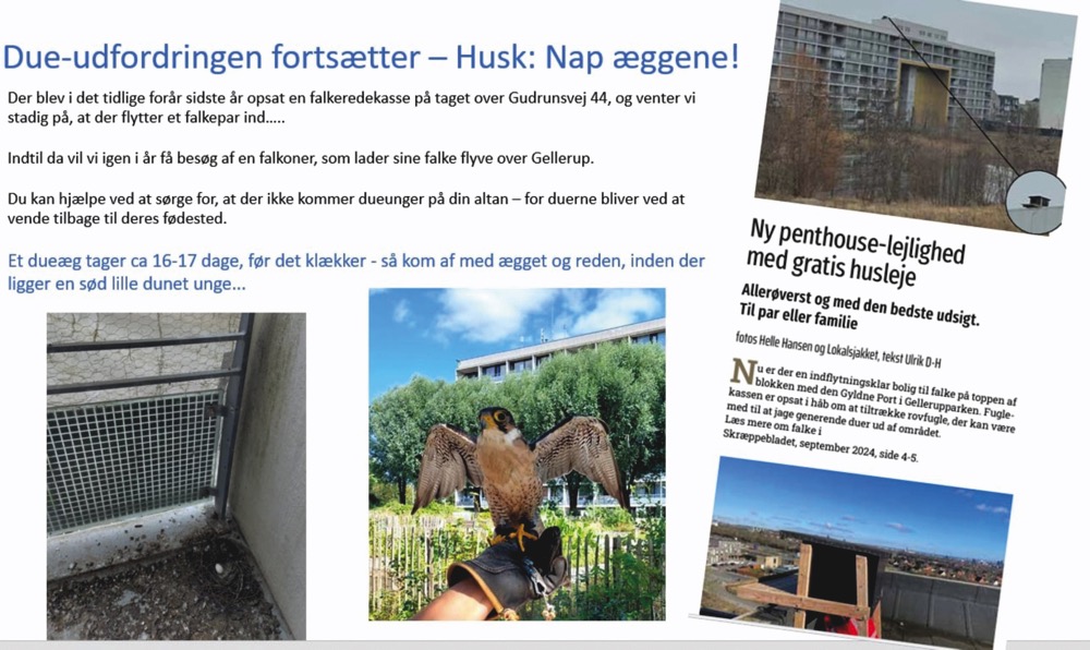 L&aelig;s mere