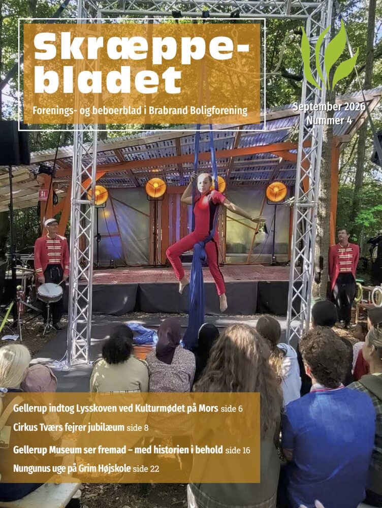 L&aelig;s mere